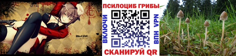 Псилоцибиновые грибы GOLDEN TEACHER  Купить  Разумное 